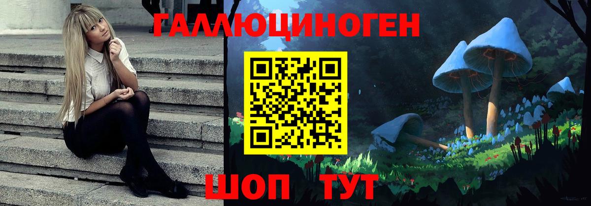 Галлюциногенные грибы Cubensis  Псилоцибиновые грибы Psilocybine cubensis  Вход с VPN  Ноябрьск 